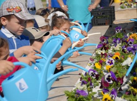 Dealul panseluţelor: Sute de flori plantate de copii lângă fântâna Companiei de Apă (FOTO)